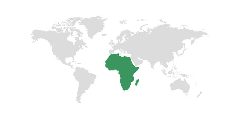 Africa